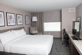 Room, 1 King Bed, Accessible (Roll-in Shower)