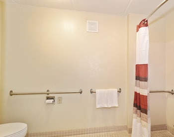 Standard Room, 1 Double Bed, Accessible (Roll-In Shower, Smoke Free)