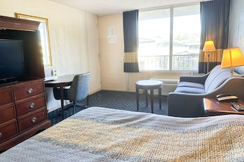 Room, 1 Double Bed, Non Smoking