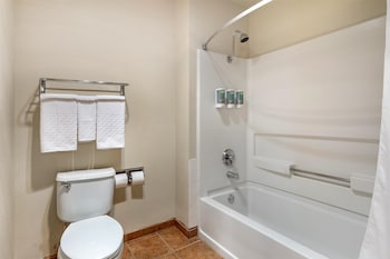 Suite, 1 King Bed, Non Smoking, Refrigerator & Microwave (with Sofabed)