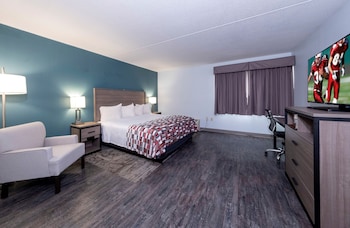 Superior Room, 1 King Bed, Accessible (Roll-In Shower, Smoke Free)