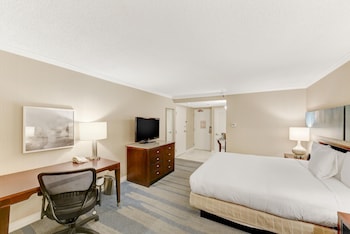 Room, 1 King Bed, Hearing Accessible (1 King Bed, Hearing Accessible)