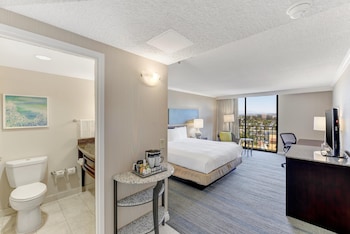 Deluxe Room, 1 King Bed, Accessible, Bathtub