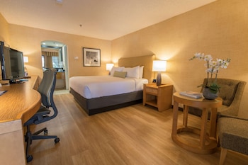 Standard Room, 1 King Bed, Accessible, Refrigerator