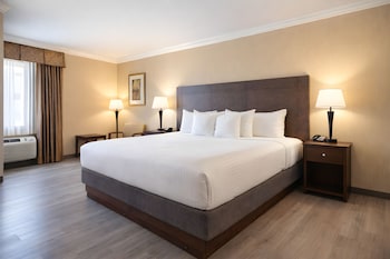 Standard Room, 1 King Bed, Non Smoking, Refrigerator & Microwave