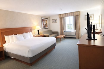 Suite, 1 King Bed, Non Smoking, Jetted Tub (with Sofabed)