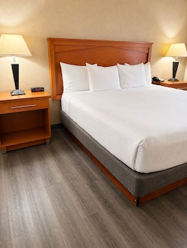 Standard Room, 1 King Bed, Accessible, Bathtub
