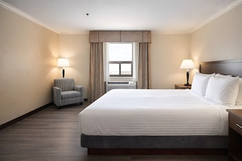 Suite, 1 King Bed, Non Smoking, Refrigerator & Microwave (with Sofabed)