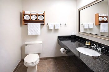 Suite, 1 Queen Bed, Non Smoking, Refrigerator & Microwave