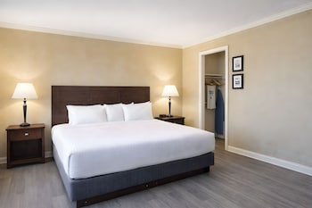 Suite, 1 King Bed, Non Smoking, Refrigerator & Microwave (with Sofabed)