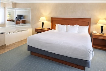 Suite, 1 King Bed, Non Smoking, Jetted Tub (with Sofabed)