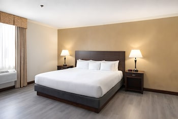 Suite, 1 King Bed, Non Smoking, Refrigerator & Microwave (with Sofabed)