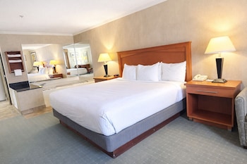 Suite, 1 King Bed, Non Smoking, Jetted Tub (with Sofabed)