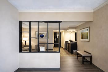 Suite, 1 King Bed, Non Smoking, Refrigerator & Microwave (with Sofabed)