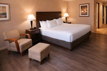 Standard Room, 1 King Bed, Non Smoking, Refrigerator & Microwave
