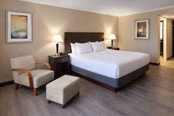 Standard Room, 1 King Bed, Non Smoking, Refrigerator & Microwave