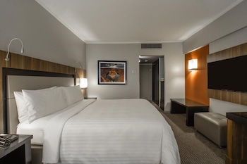 Room, 1 King Bed
