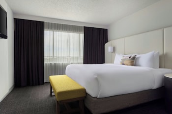 Premium Suite, 1 Bedroom