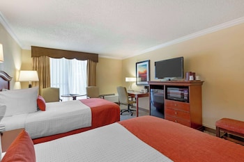 Standard Room, 2 Double Beds, Non Smoking, Refrigerator & Microwave