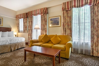 Standard Room, 1 King Bed, Non Smoking (Larger Room;with Sofabed)