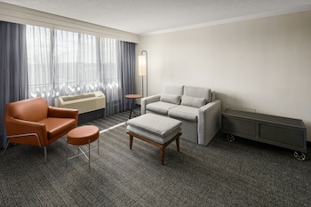 Suite, 1 King Bed with Sofa bed