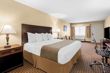 Suite, 1 King Bed, Accessible, Refrigerator & Microwave