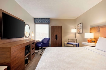 Standard Room, 1 King Bed, Non Smoking (Hearing Accessible)