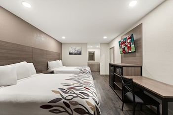 Deluxe Room, 2 Double Beds, Accessible, Non Smoking (Roll-In Shower)