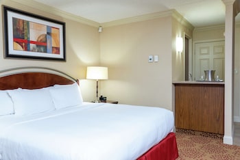 Room, 1 King Bed, Refrigerator