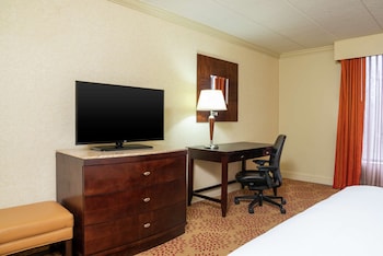 Room, 1 King Bed with Sofa bed, Accessible, Bathtub