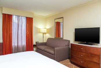 Room, 1 King Bed, Accessible
