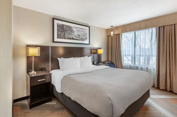 Business Room, 1 King Bed, Non Smoking