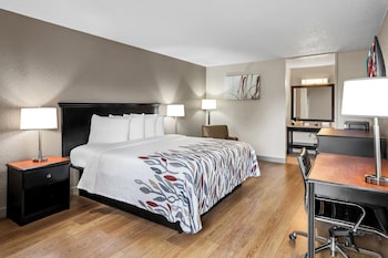 Superior Room, 1 King Bed, Smoking