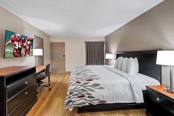 Superior Room, 1 King Bed, Smoking