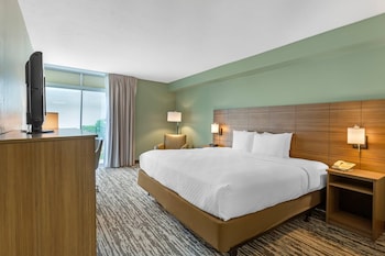 Room, 1 King Bed, Accessible, Non Smoking
