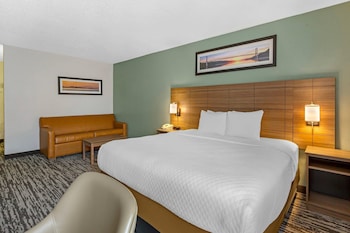 Room, 1 King Bed, Non Smoking