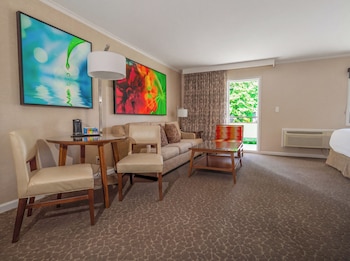 Junior Suite, 1 King Bed with Sofa bed