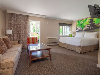 Junior Suite, 1 King Bed with Sofa bed