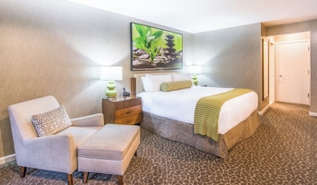 Deluxe Room, 1 King Bed, Accessible