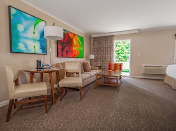 Standard Suite, 1 King Bed