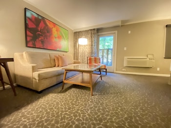 Room, 1 Double Bed, Accessible