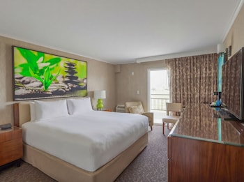 Basic Room, 1 King Bed, Patio