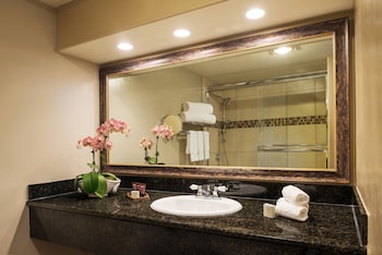 Standard Suite, 1 King Bed