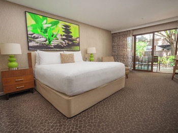 Deluxe Room, 1 King Bed, Accessible