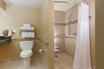 Room, 1 Double Bed, Accessible
