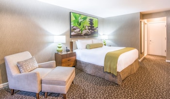 Superior Room, 1 King Bed