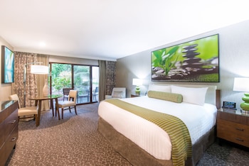 Room, 1 King Bed, Accessible