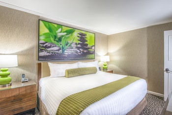 Suite, 1 King Bed
