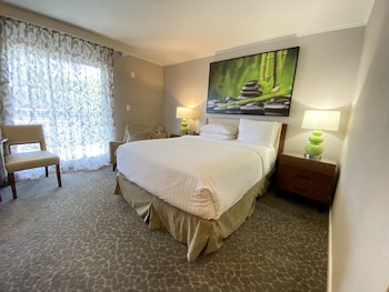 Room, 1 King Bed, Accessible