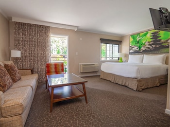 Standard Suite, 1 King Bed